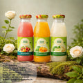 Expo Juice Fruit Juice, 24 Bottles (Mixed Flavors)
