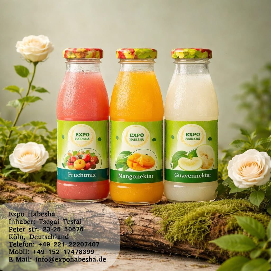 Expo Juice Fruchtsaft, 24 Flaschen (Sorten gemischt)